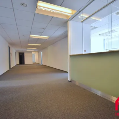 VIEL PLATZ FÜR IHRE IDEEN -TOLLE BÜROFLÄCHE MIT POTENTIAL - EG + 1.OG - Bild 3