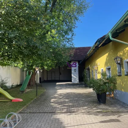 Großzügiges Bauträgergrundstück zwischen Korneuburg und Hagenbrunn! - Bild 3