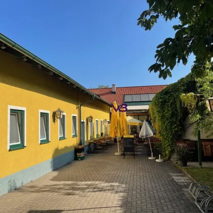 Großzügiges Bauträgergrundstück zwischen Korneuburg und Hagenbrunn! - Bild 2