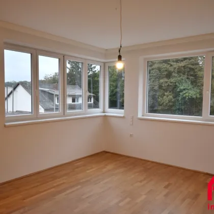 JEDERZEIT GUT BETREUT! CHARMANTE 3-ZIMMERWOHNUNG IM GRÜNEN - TOP 12 - Bild 3