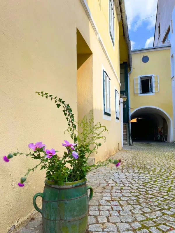 CHARMANTES STADTHAUS-Ensemble in LANGENLOIS - Bild 1