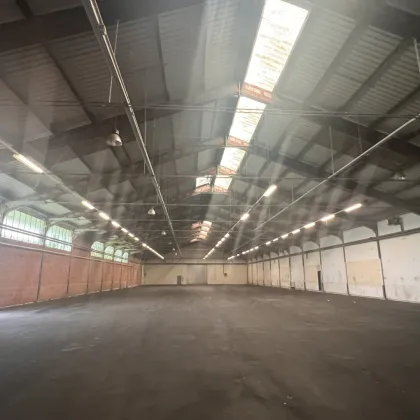 HALLE zur sofortigen VERMIETUNG mit idealer Zufahrt - Bild 2