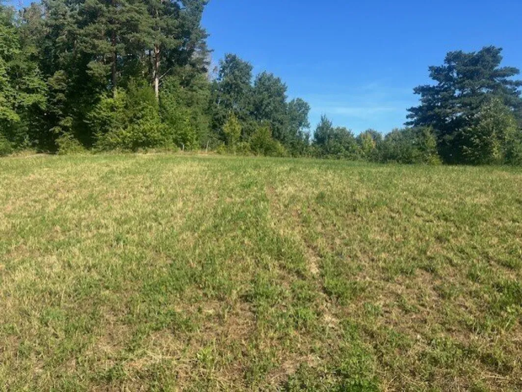BAUGRUNDSTÜCK am ORTSRAND in Grünruhelage - Bild 1