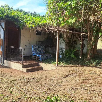 WIEN-NÄHE! TOLLES GRUNDSTÜCK IN WÜRMLA! - Bild 3