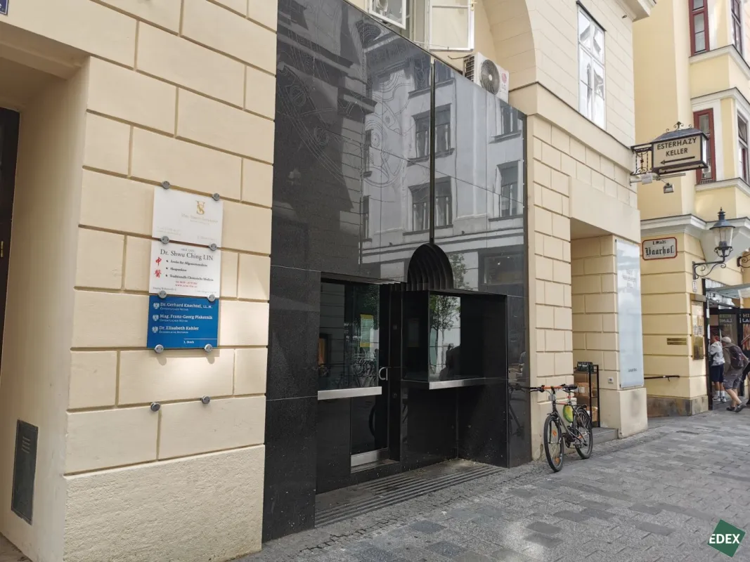 Repräsentative Geschäftsfläche im Palais Esterházy - Bild 1