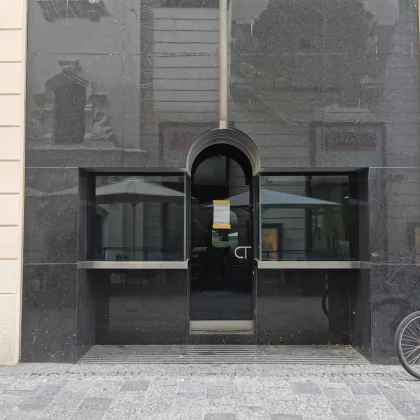 Repräsentative Geschäftsfläche im Palais Esterházy - Bild 2