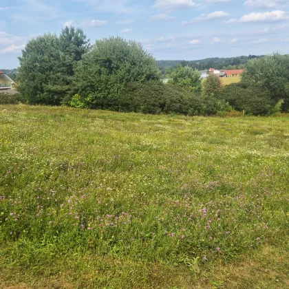 1000 m² Baugrundstück in Neudau – Idyllische Lage mit Top-Infrastruktur - Bild 3