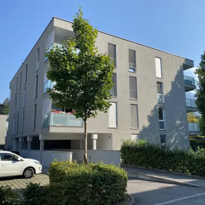 Äußerst gepflegte 3 Zimmer Wohnung mit stilvollem Flair/Balkon & 1 TG-Stellplatz - Bild 2