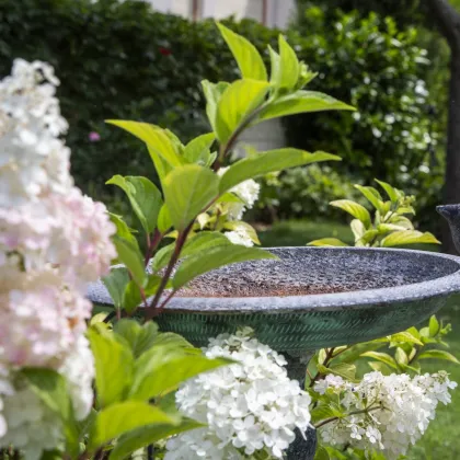 Gepflegtes Einfamilienhaus mit traumhaftem Garten – eine Oase der Ruhe - Bild 2