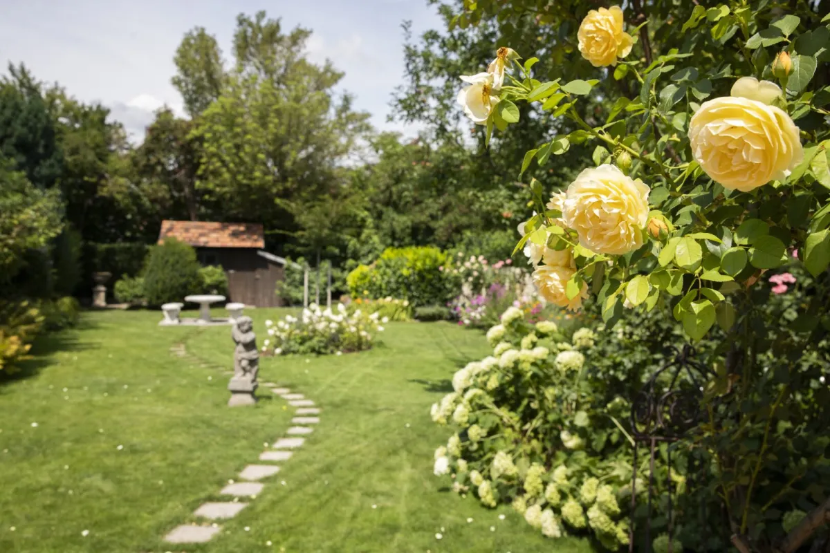 Gepflegtes Einfamilienhaus mit traumhaftem Garten – eine Oase der Ruhe - Bild 1