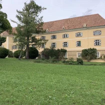 LEBEN IM SCHLOSS STRELZHOF - Stilvolles Wohnen mit idyllischem Parkblick, einem Pferdeparadies und traumhafter Grünruhelage - Bild 3