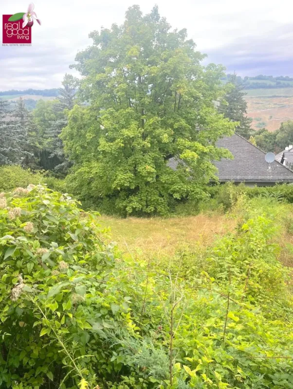 Baugrund in Klosterneuburg – Weidling  1.793 m² Grundstücksfläche | Altbestand vorhanden | teilbar !! - Bild 1
