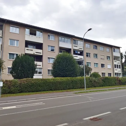 4-Zimmer-Wohnung mit Loggia & Parkplatz zum Top-Angebot € 69.000,- - Bild 3