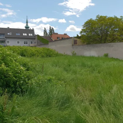 Baugrundstück mit großem Potenzial in 2514 Traiskirchen - Bild 3