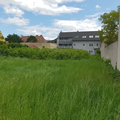 Baugrundstück mit großem Potenzial in 2514 Traiskirchen - Bild 2