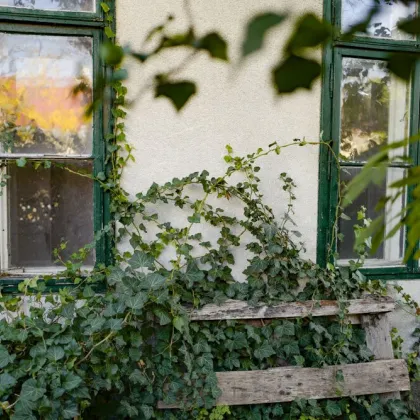 Zwischen Geschichte und Zukunft - Baugrund in Mödling für Ihre Vision - Bild 2