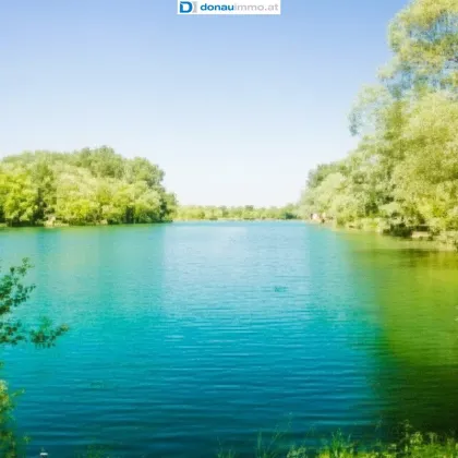 Haus und Grund in Wasser-, Freizeit-, Sport und Naturparadies bei Wien - Bild 2