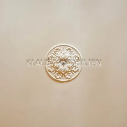 Wohnen in einer bezaubernden denkmalgeschützten Stadtwohnung - Bild 3