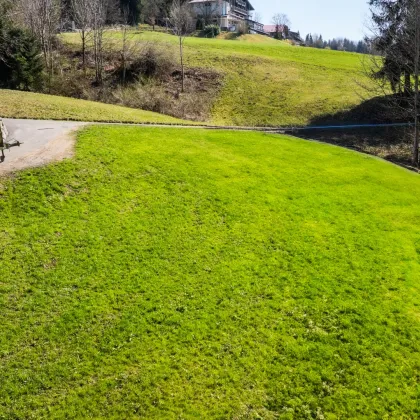 Möggers | Großzügiges Grundstück (1.577 m²) mit Option auf Erweiterung - Bild 3