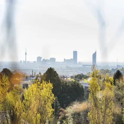 Penthouse mit Blick in die Weinberge - Bild 3
