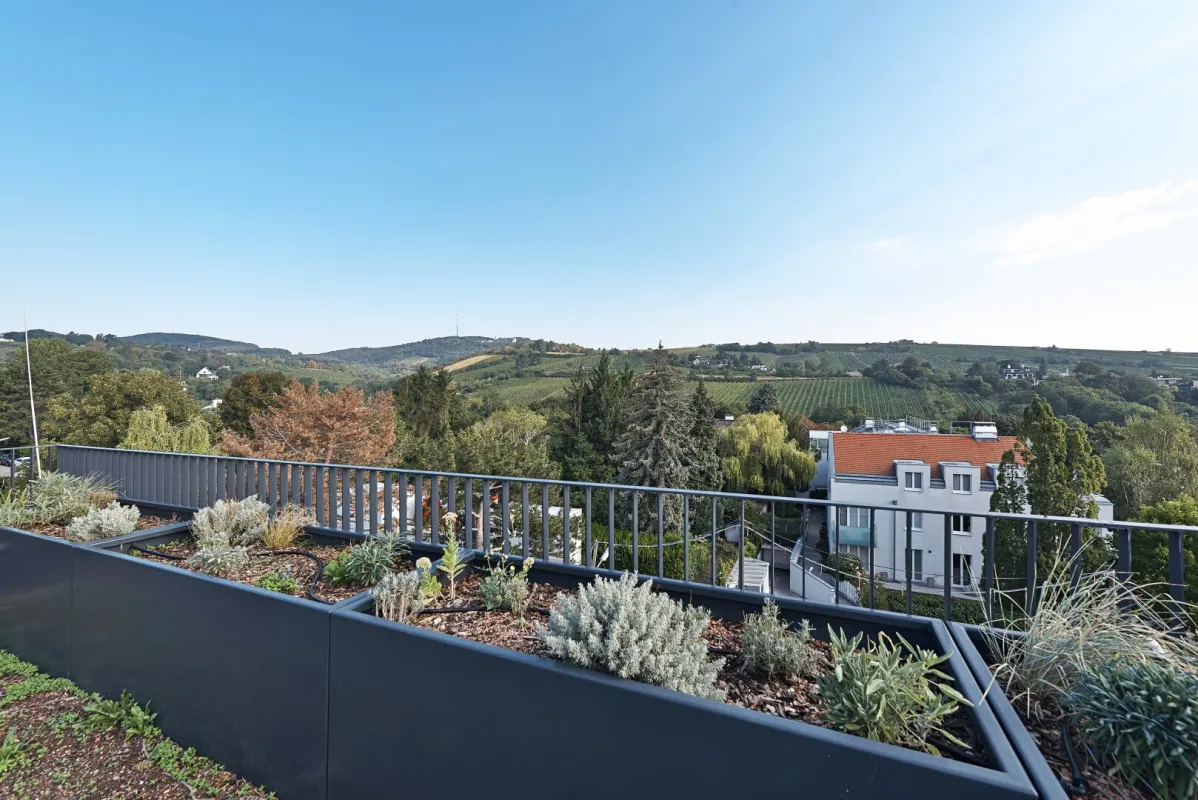 Penthouse mit Blick in die Weinberge - Bild 1