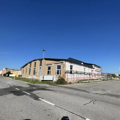 Helle Gewerbehalle mit Verkaufsraumcharakter in 2601 Sollenau bald zu vermieten - Bild 3