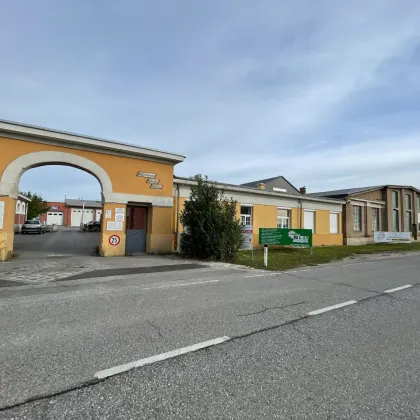 Helle Gewerbehalle mit Verkaufsraumcharakter in 2601 Sollenau bald zu vermieten - Bild 2