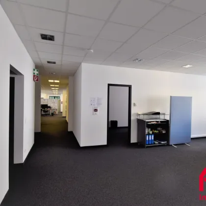 ATTRAKTIVES BÜRO IN LINZ INKL. 5 PARKPLÄTZEN! - Bild 2
