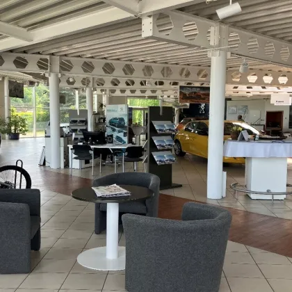 Vielseitig nutzbares Autohaus im Weinviertel mit perfekter Verkehrsanbindung zu mieten! - Bild 3