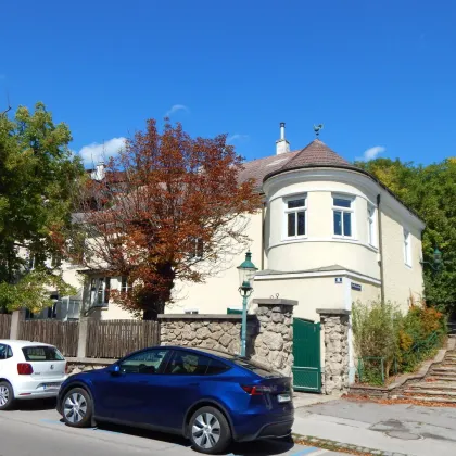 Historisches Gebäude mit großen Weinkeller mit Gewölbe im Zentrum von Perchtoldsdorf - Bild 2