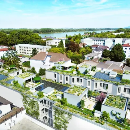 2 Zimmer Gartenwohnung Nähe Donaulände und Zentrum - Bild 3