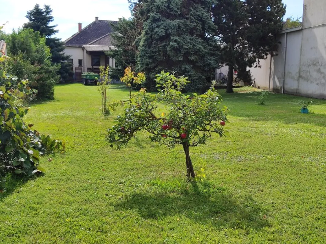 Einfamilienhaus auf großem Grundstück in Siegendorf! Teilweise Sanierungsbedarf! - Bild 1