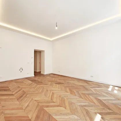 ++NEU++ Premium-Erstbezug 4-Zimmer-Stilaltbau mit luxuriösem Finish in Top Location NÄHE Urania!  U-Bahn & CAT - Bild 3