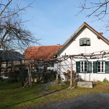 Einzigartiges Anwesen im Südburgenland – 5 ha | Skulpturenpark | ca. 2.000 mᒾ Naturteich - Bild 3