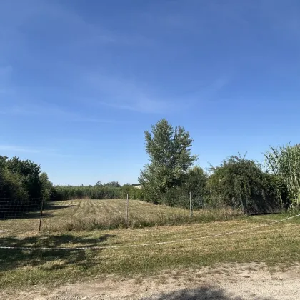 Exklusives Grundstück im Seerefugium Neusiedl am See zu verkaufen! - Bild 3