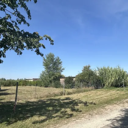 Exklusives Grundstück im Seerefugium Neusiedl am See zu verkaufen! - Bild 2