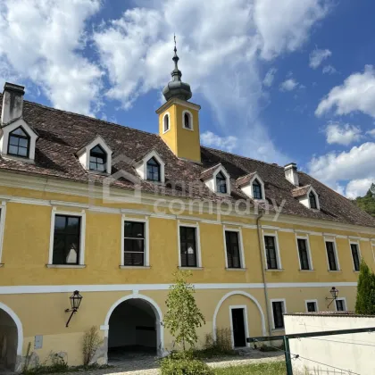 Zinshaus mit historischem Charme in Krems (Reinertragsrendite: 3,66%) - Bild 3