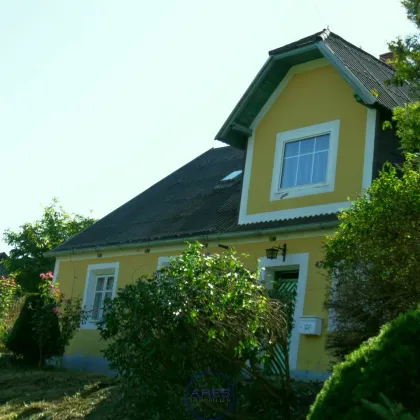 Landhaus in Sallingstadt - Bild 3