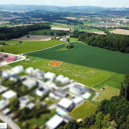 Baugrundstücke in Katsdorf / Ruhstetten – sonnige Lage, ideal für 1–3 Wohneinheiten je Parzelle - Bild 3