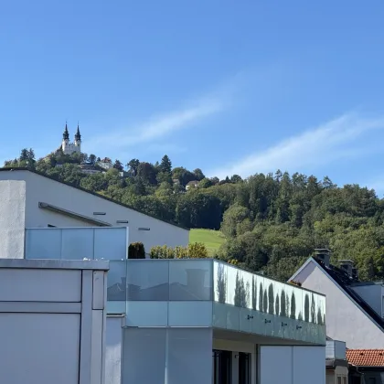 Eigentumswohnung URFAHR Auberg - Bild 3