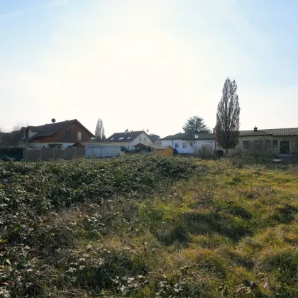 Attraktives Baugrundstück in Tulln – Perfekte Lage & Top-Infrastruktur - Bild 2