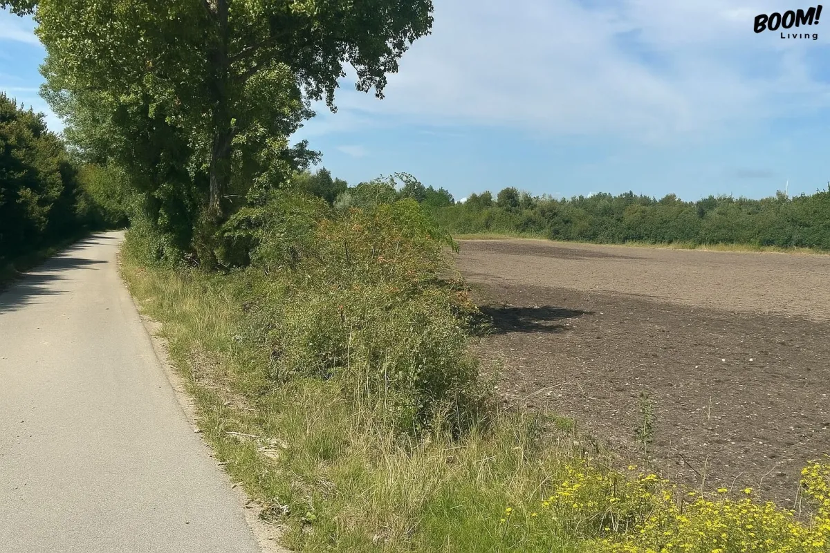 Traumhaftes Baugrundstück in Illmitz – Ihr neues Eigenheim auf Eigengrund! - Bild 1