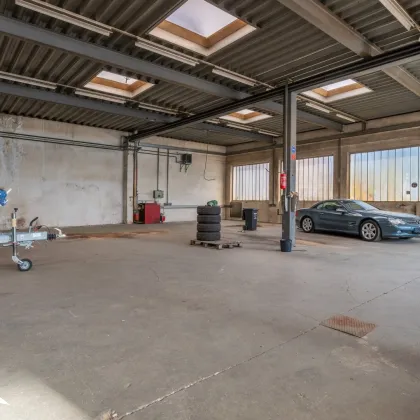 2325 Himberg Großes Grundstück mit heller beheizter HALLE, Außenfläche und bestandsfreiem Mehrparteienhaus mitten in Himberg - Bild 3