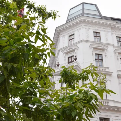 Palais der Superlative – 265m² Luxusresidenz im Herzen der Wiener Innenstadt - Bild 2