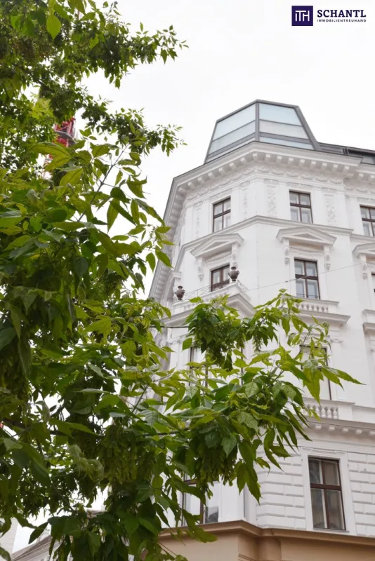 Ein JUWEL im Zentrum Wiens – Stil, Luxus und Lage in Perfektion - Bild 1