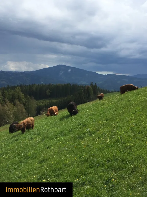Neuwertiger Bauernhof in sonniger Lage - Bild 1