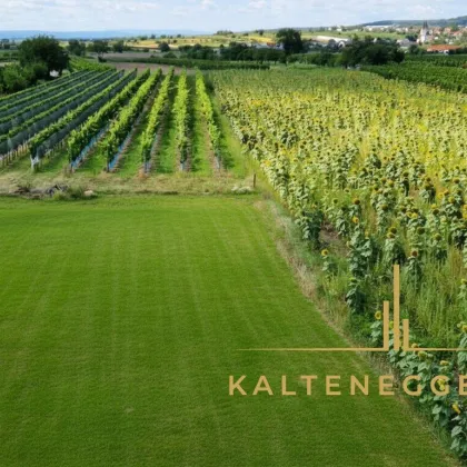 Moderner Wohnkomfort in Toplage am Neusiedlersee - Bild 2