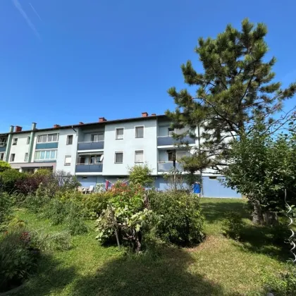 2-Zimmer Wohnung mit Loggia nahe des Wiener Neustädter Kanals - Bild 2