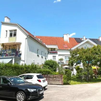 2-Zimmer Wohnung in ruhiger Lage nahe des Badener Stadtzentrums - Bild 2