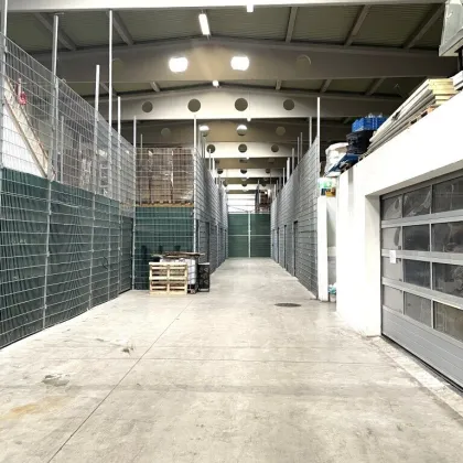 *PROVISIONSFREI* Ebenerdige Gitterlagerfläche - Bild 2